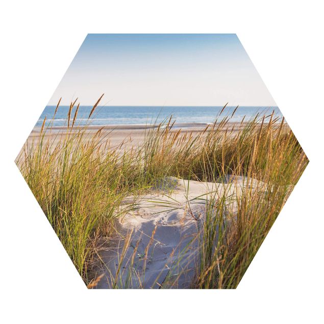 Hexagons Aluminium Dibond schilderijen - Beach Dune At The Sea