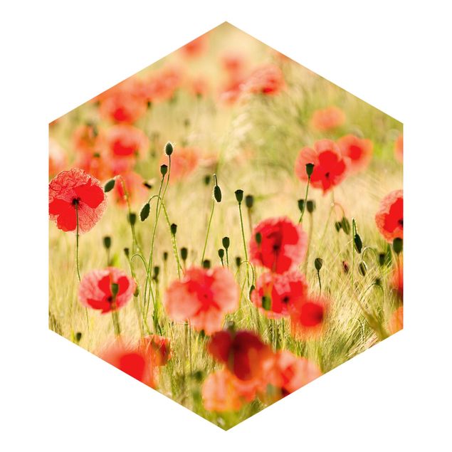Hexagon Behang Summer Poppies