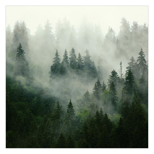 Fotobehang - Deep Green Fir Forest In The Fog