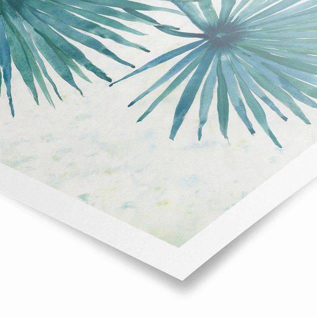 Posters Tropicl Palm Leaves Close-up