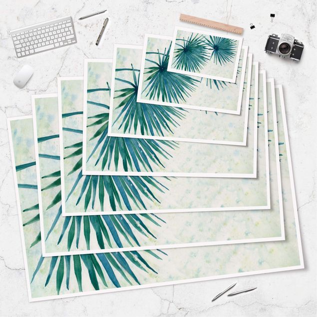 Posters Tropicl Palm Leaves Close-up