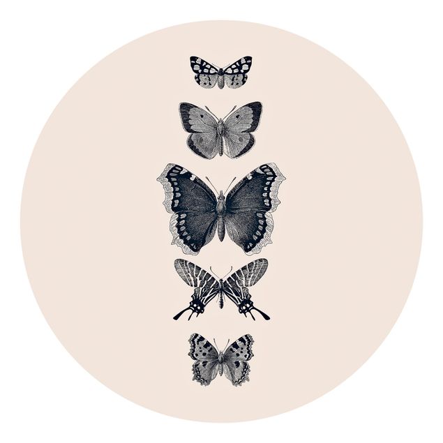 Behangcirkel Ink Butterflies On Beige Backdrop