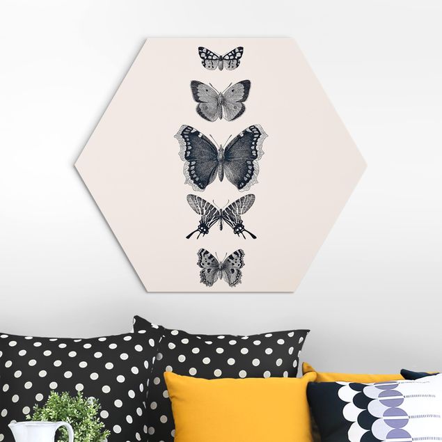 Hexagons Aluminium Dibond schilderijen Ink Butterflies On Beige Backdrop