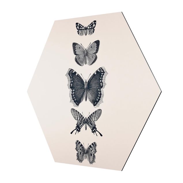 Hexagons Aluminium Dibond schilderijen Ink Butterflies On Beige Backdrop