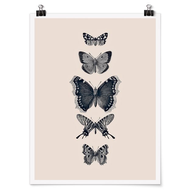 Posters Ink Butterflies On Beige Backdrop