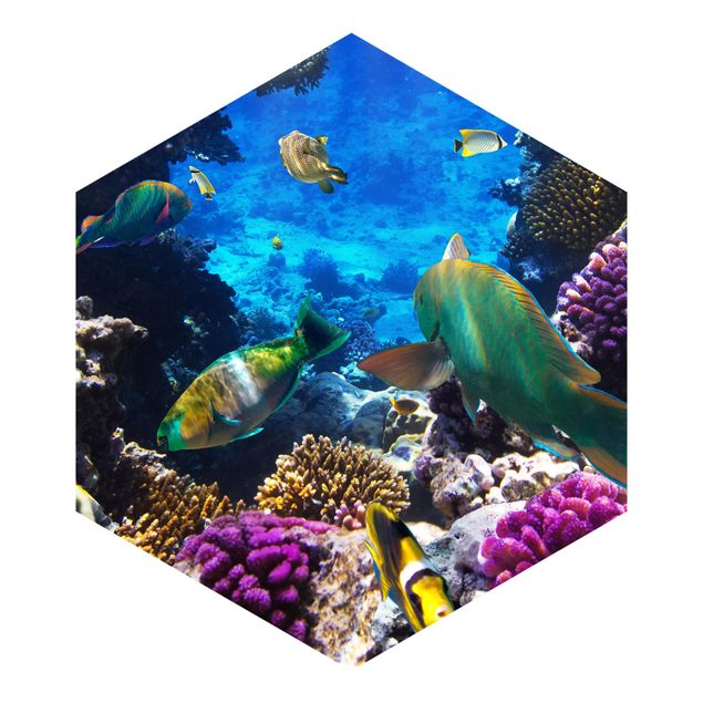 Hexagon Behang Underwater Dreams