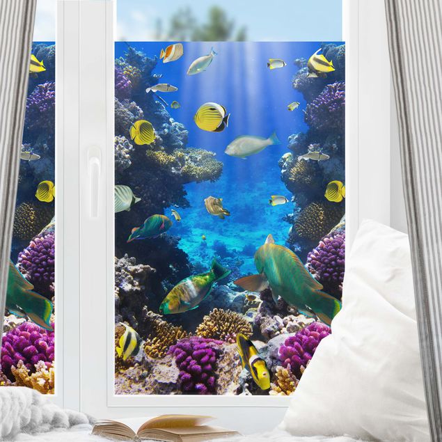 Raamfolie - Underwater Dreams