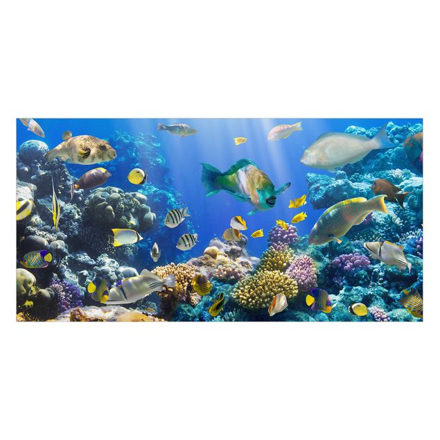 Raamfolie - Underwater Reef