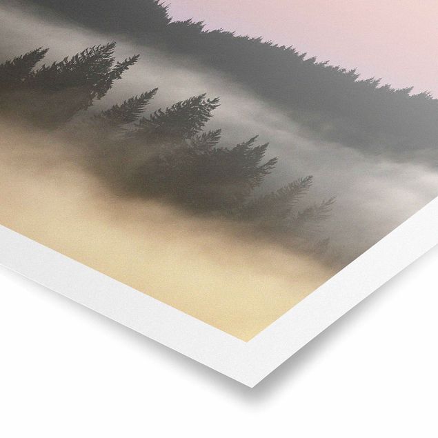 Posters Dreamy Foggy Forest