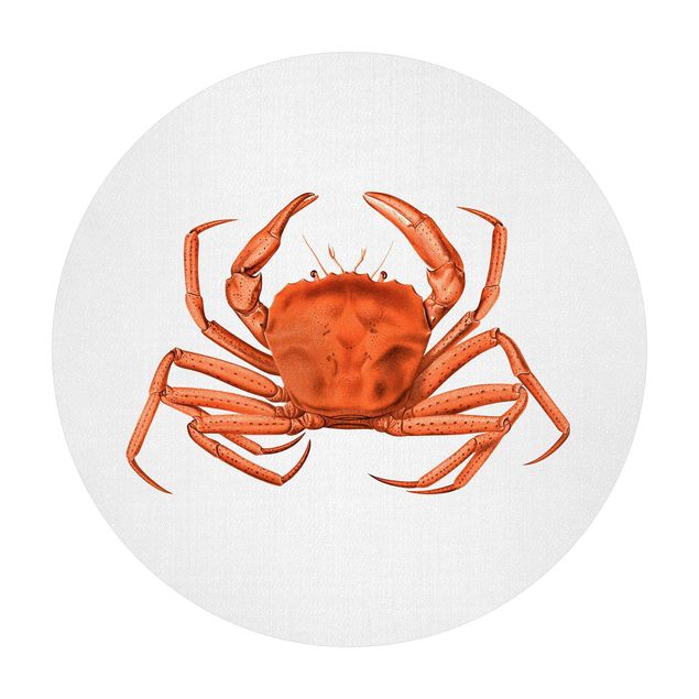 Rond vinyl tapijt Vintage Illustration Red Crab