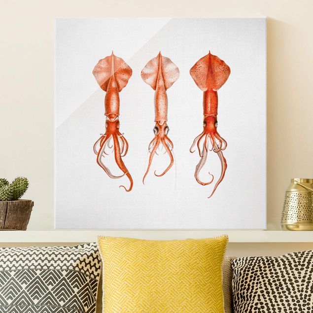 Glas Magnettafel Vintage Illustration Red Squid
