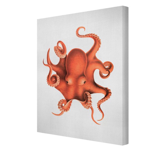 Leinwandbild - Vintage Illustration Roter Oktopus - Hochformat 3:4