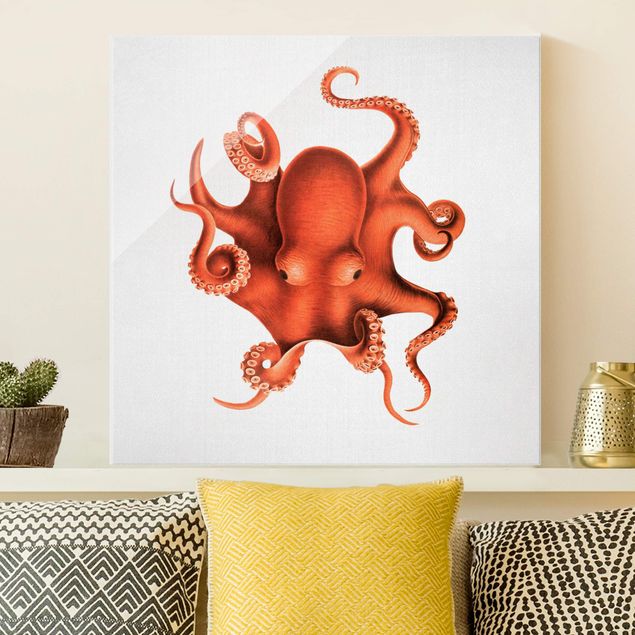 Glas Magnetboard Vintage Illustration Red Octopus