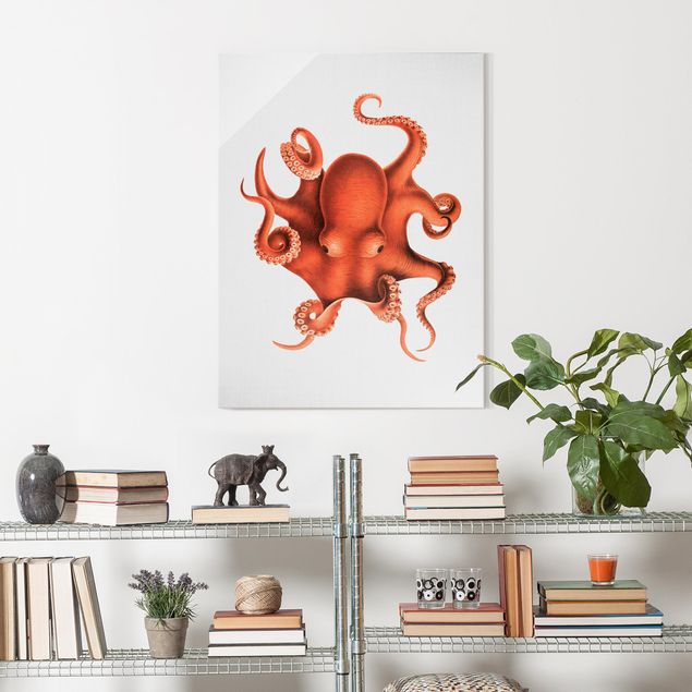 Glasschilderijen - Vintage Illustration Red Octopus