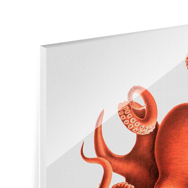 Glasschilderijen - Vintage Illustration Red Octopus