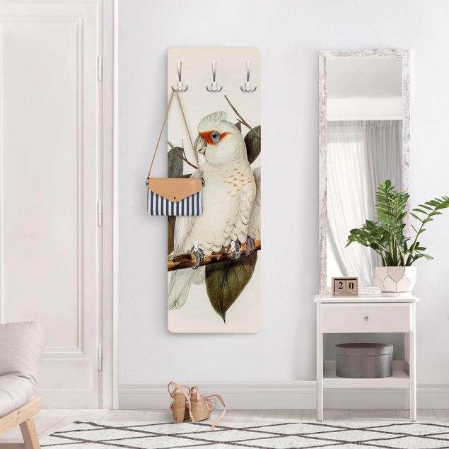 Wandkapstokken houten paneel Vintage Illustration White Cockatoo