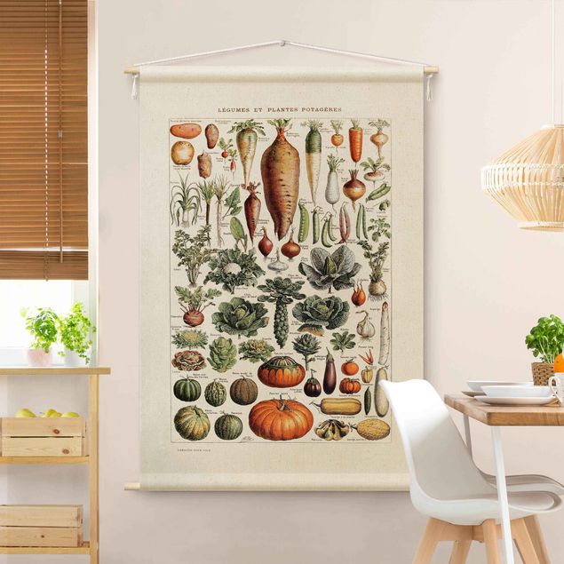 Wandkleed xxl Vintage Teaching Illustration Vegetables