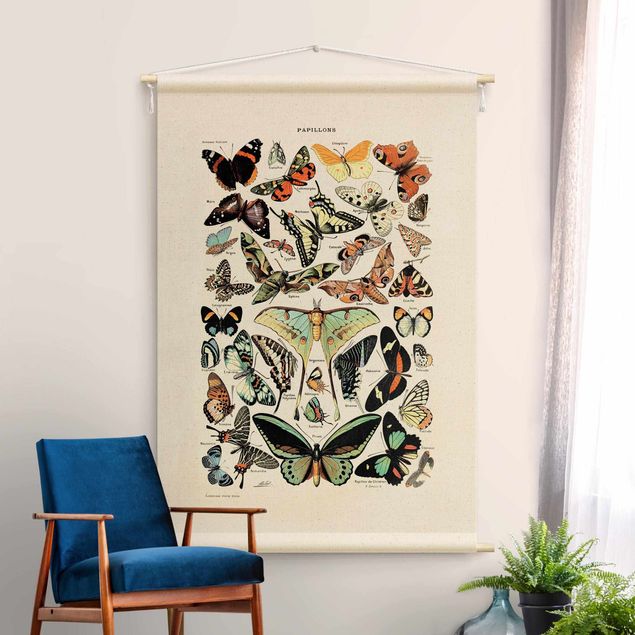 Wandkleed xxl Vintage Teaching Illustration Butterflies