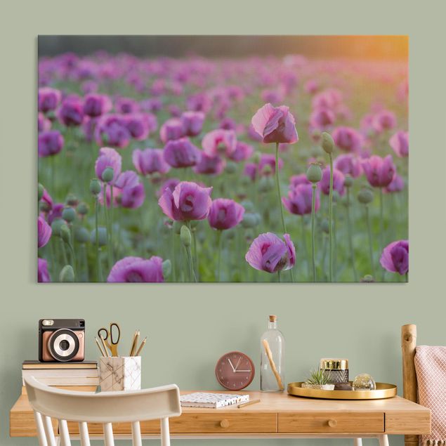 Akoestisch schilderij - Purple Poppy Flower Meadow In Spring
