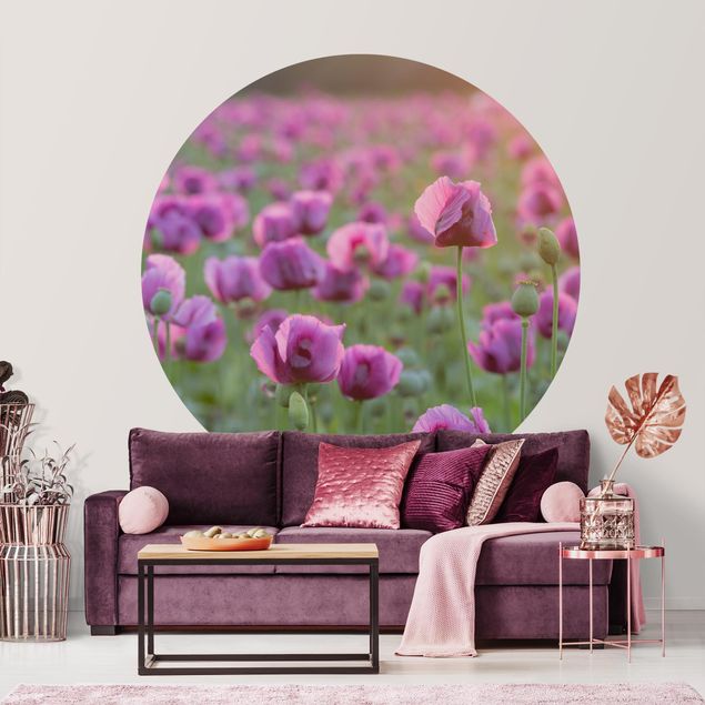 Behangcirkel Purple Poppy Flower Meadow In Spring