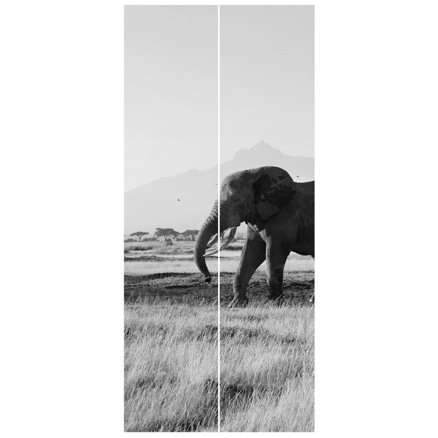 Deur behang Elephants In Front Of The Kilimanjaro In Kenya II