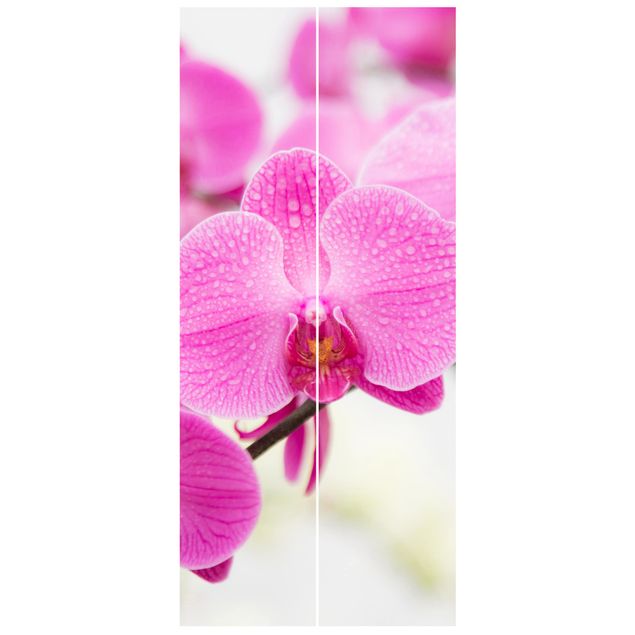 Deur behang Close-Up Orchid