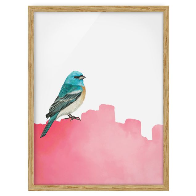 Ingelijste posters Bird On Pink Backdrop