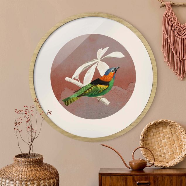 Rond schilderijen Collage di uccellini in cerchio II