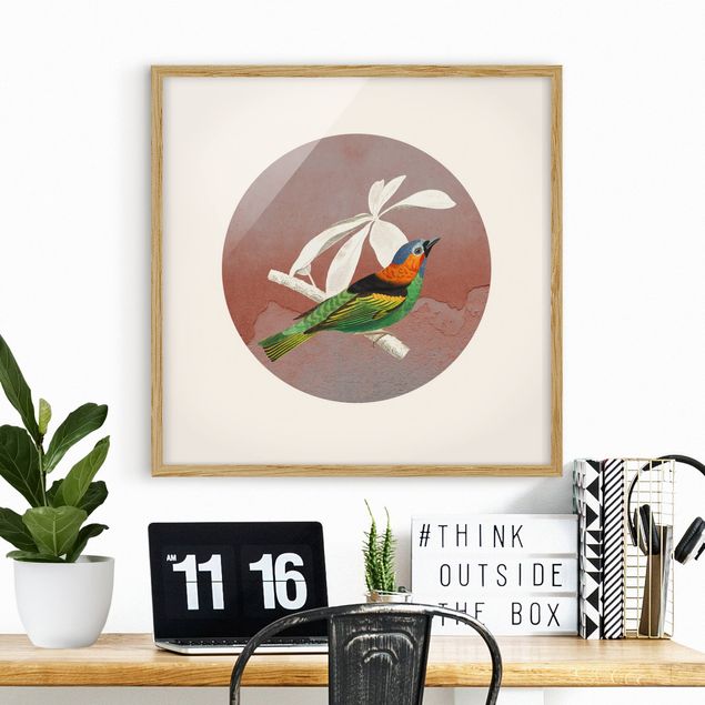 Ingelijste posters Bird Collage In A Circle ll