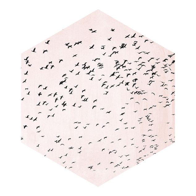 Hexagon Behang Flock Of Birds In The Sunset