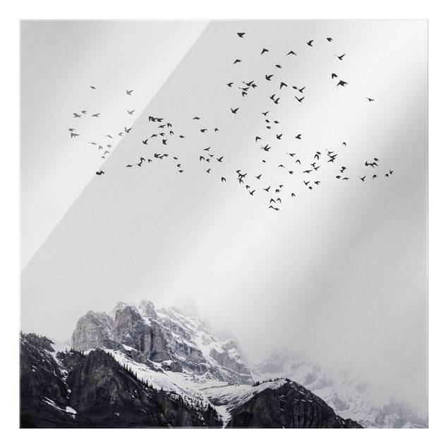 Glasschilderijen Flock Of Birds In Front Of Mountains Black And White