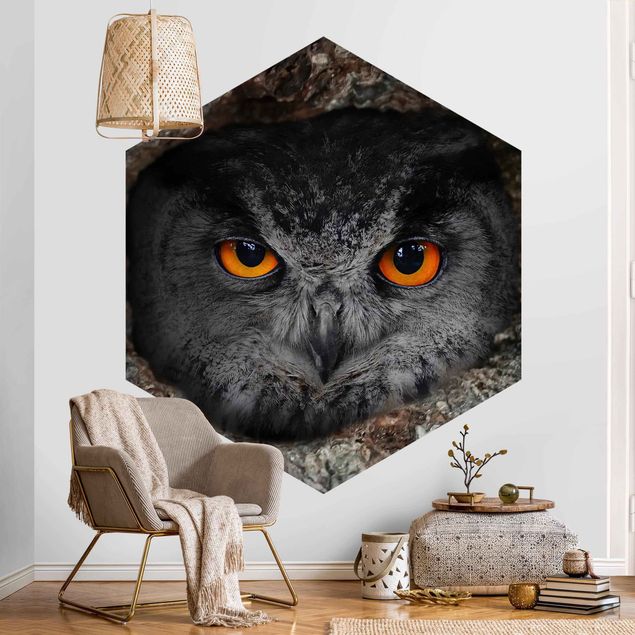 Hexagon Behang Watching Owl