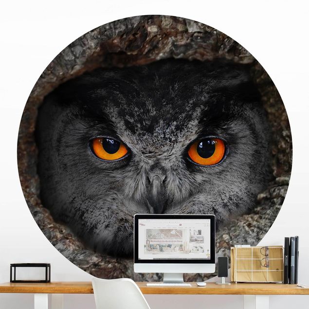Behangcirkel Watching Owl