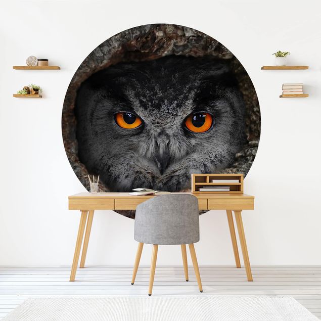 Behangcirkel Watching Owl
