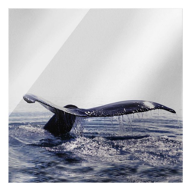 Glasschilderijen Whale Song On Iceland