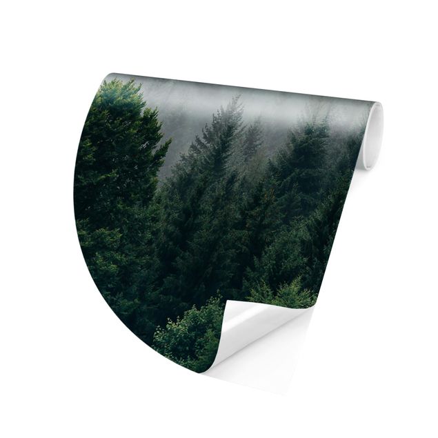 Behangcirkel Foggy Forest Twilight