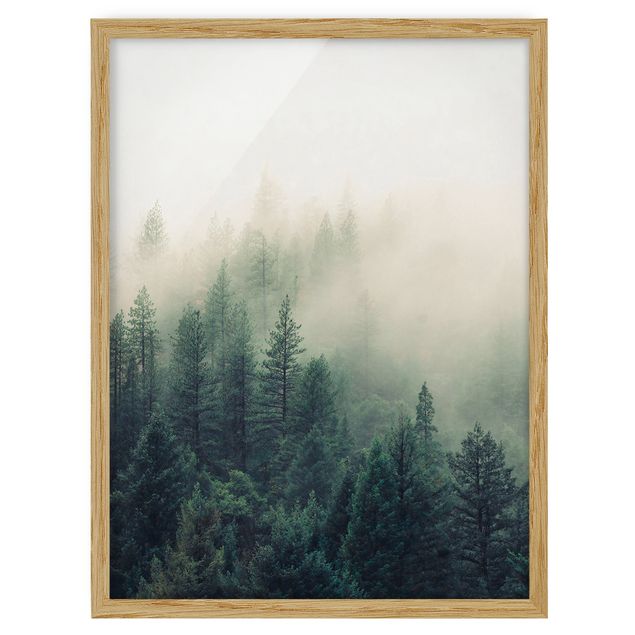 Ingelijste posters Foggy Forest Awakening