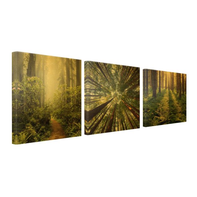 Canvas schilderijen - 3-delig Forest Trio