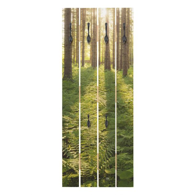 Wandkapstokken houten pallet Sun Rays In Green Forest