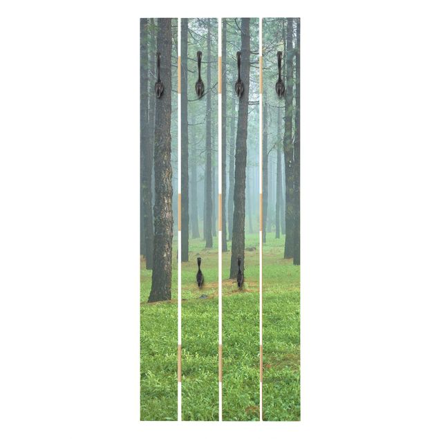 Wandkapstokken houten pallet Deep Forest With Pine Trees On La Palma