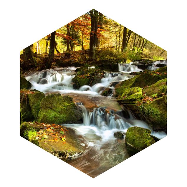 Hexagon Behang Waterfall Forest In The Fall