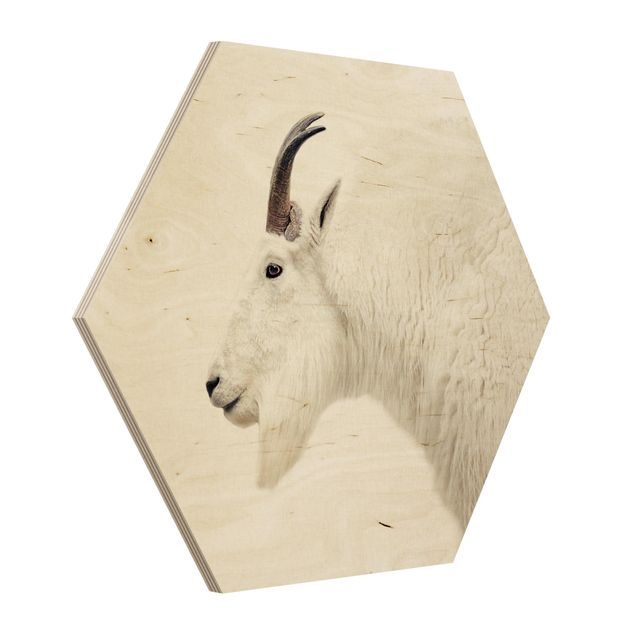 Hexagons houten schilderijen White Mountain Goat