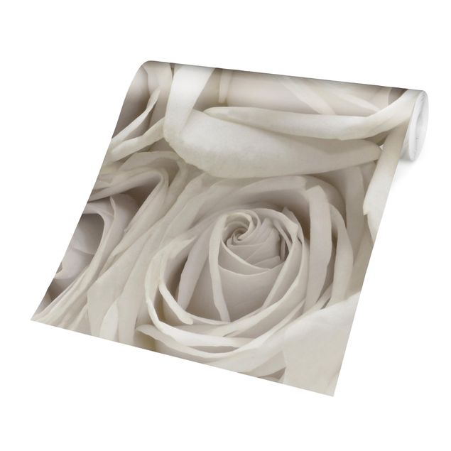 Fotobehang White Roses