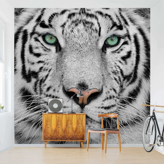 Fotobehang White Tiger