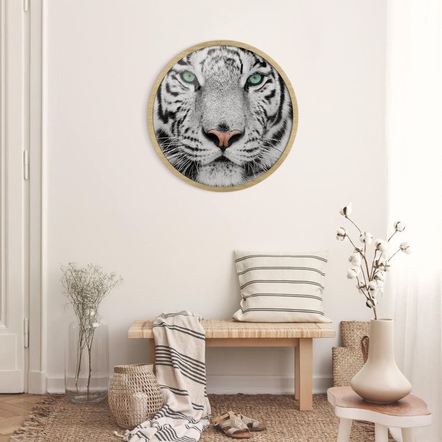 Rond schilderijen Tigre bianca
