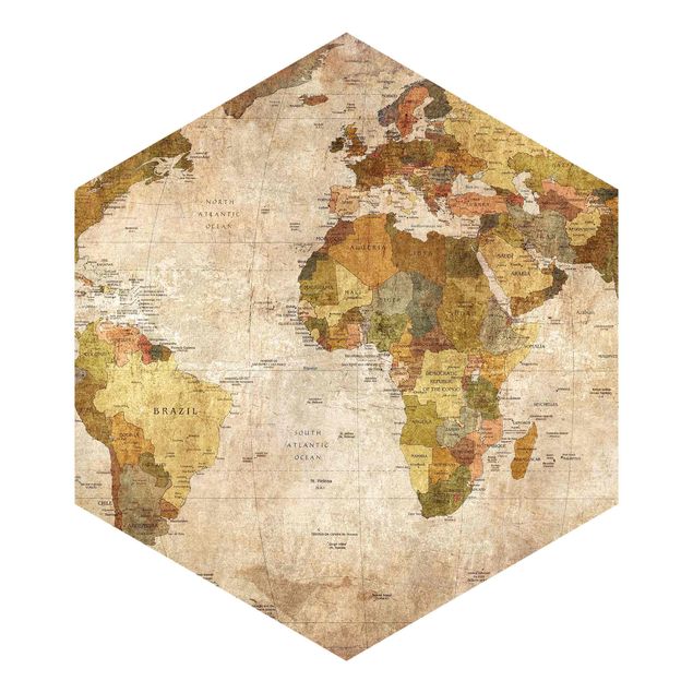 Hexagon Behang World Map