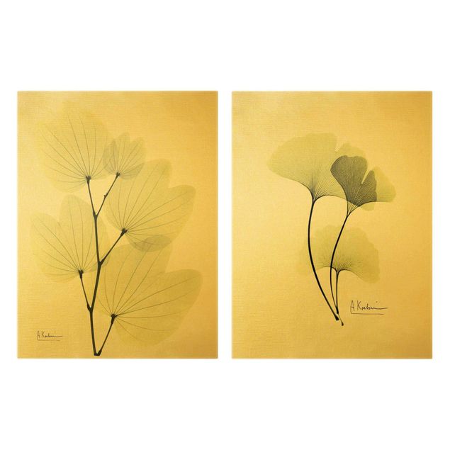 Canvas schilderijen - 2-delig  X-Ray - Orchid Tree Leaves & Ginkgo
