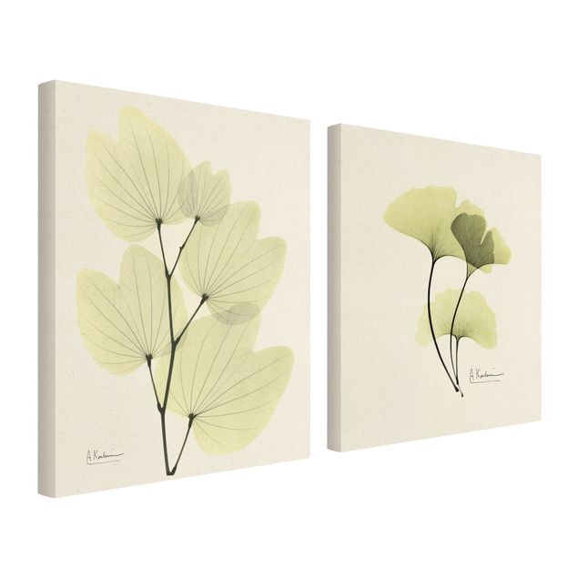 Natuurlijk canvas schilderijen - 2-delig  X-Ray - Orchid Tree Leaves & Ginkgo
