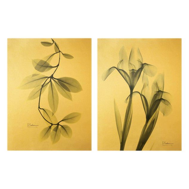 Canvas schilderijen - 2-delig  X-Ray - Hoya Leaves & Iris