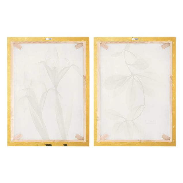 Canvas schilderijen - 2-delig  X-Ray - Hoya Leaves & Iris